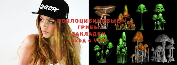 дурь Грязовец