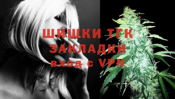 дурь Грязовец