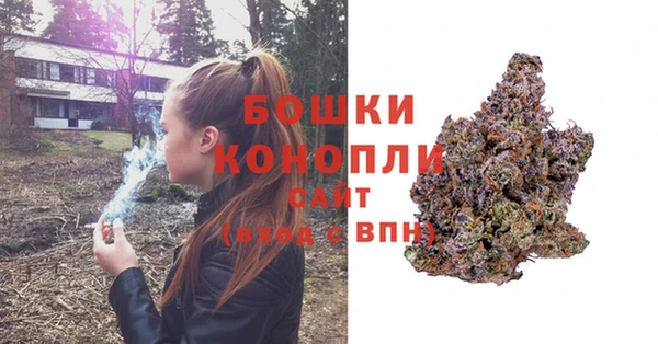 дурь Грязовец