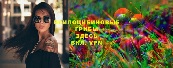 скорость Губаха