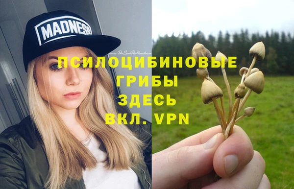 дурь Грязовец