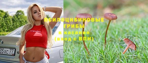 альфа пвп Грязи