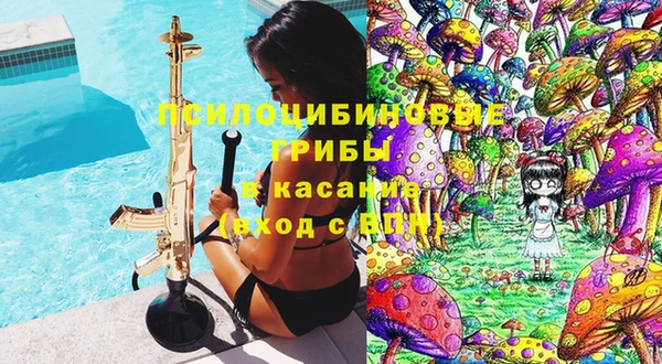 прущая мука Гусиноозёрск