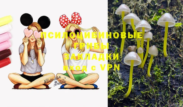 скорость Губаха